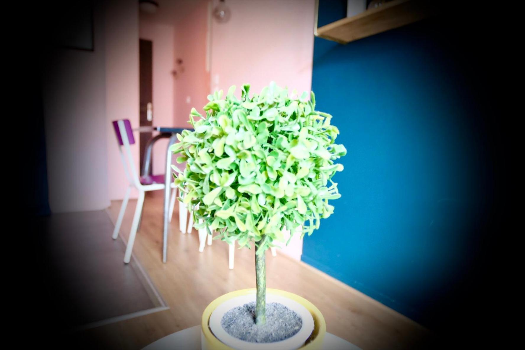 Appartement La Company Des Concierges : La bonbonniere Rose à Caen Extérieur photo
